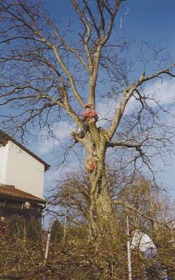 ../Images/bild03.jpg