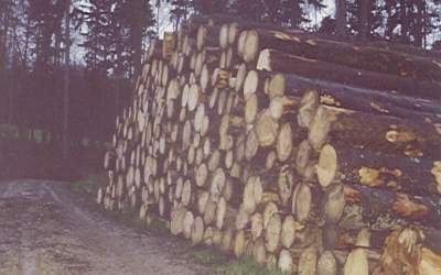 ../Images/bild07.jpg