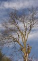 Thumbs/tn_bild02.jpg