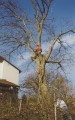 Thumbs/tn_bild03.jpg