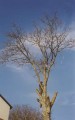 Thumbs/tn_bild04.jpg