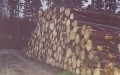 Thumbs/tn_bild07.jpg