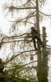 Thumbs/tn_bild10.jpg