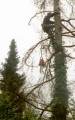 Thumbs/tn_bild11.jpg