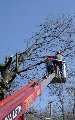 Thumbs/tn_bild12.jpg